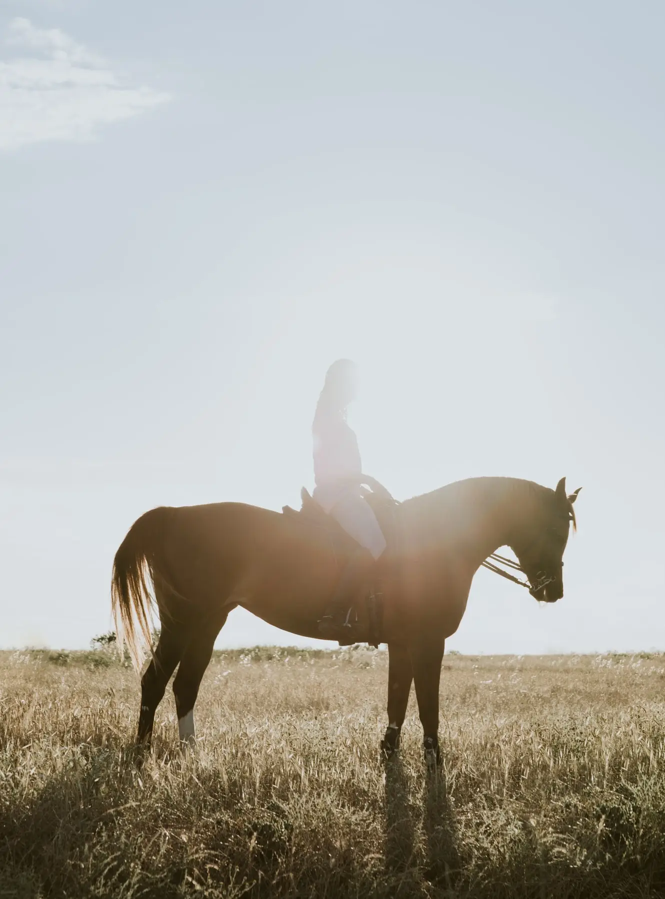 Horse riding