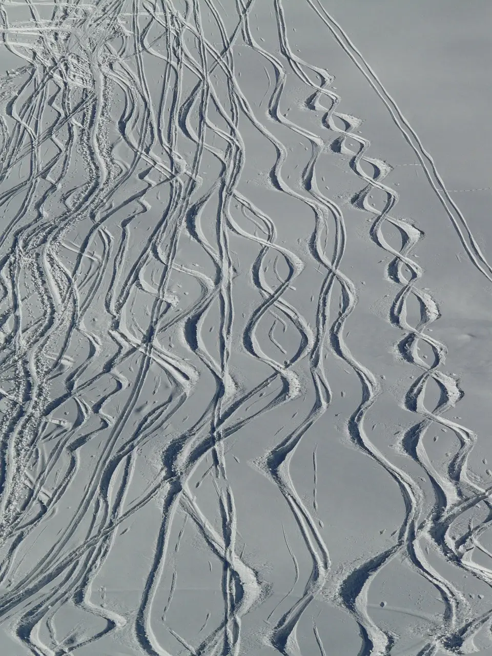 Skiing