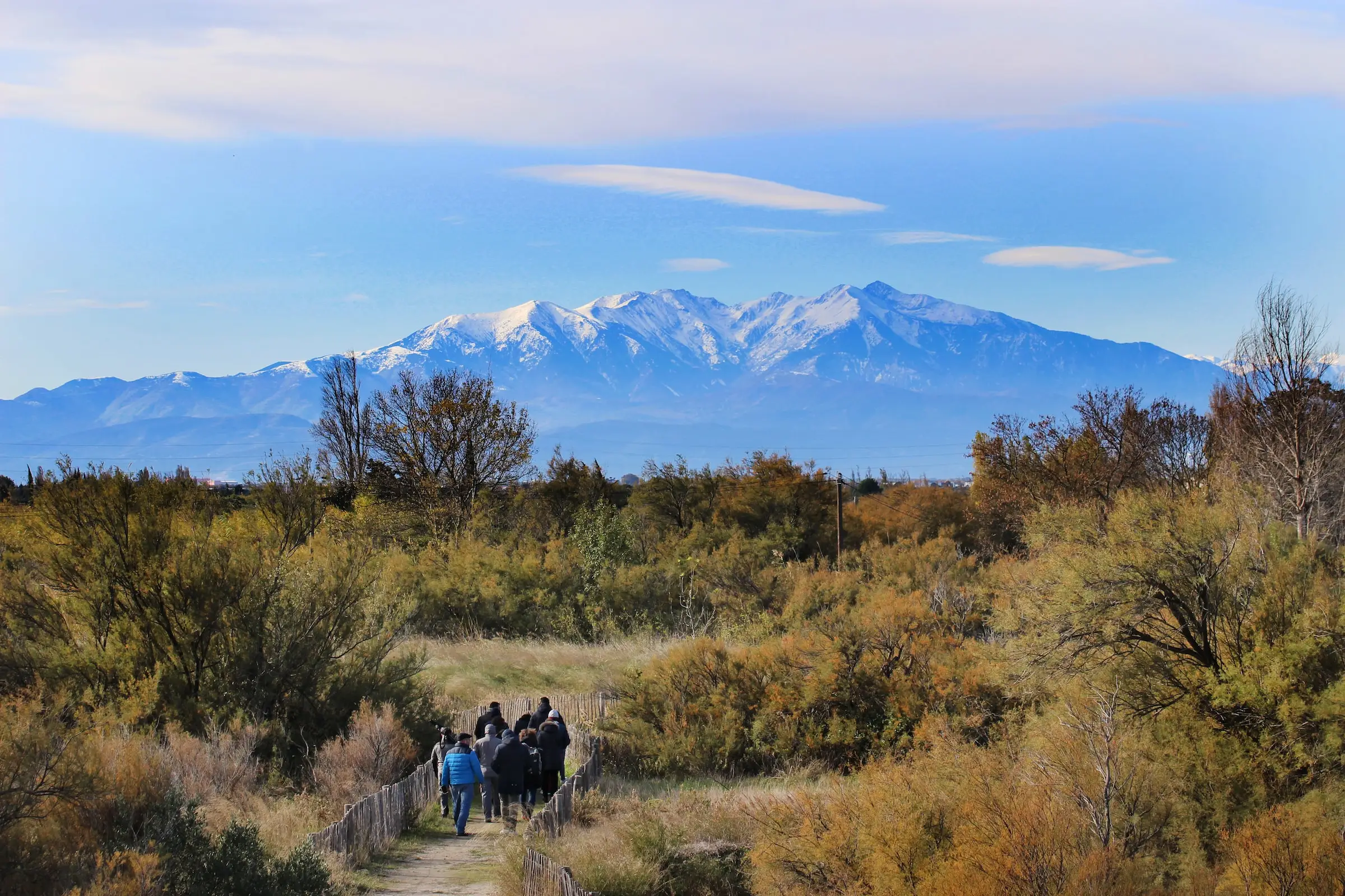 Perpignan - Destination image