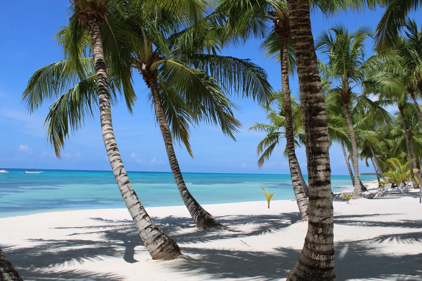 Punta Cana - Destination image