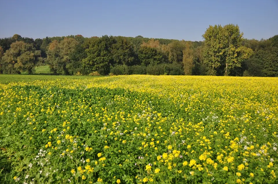 West Flanders - Destination image