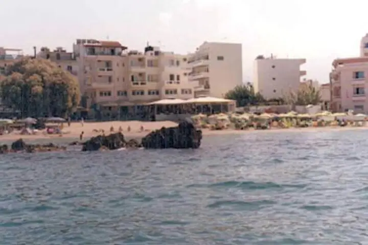 other image 1