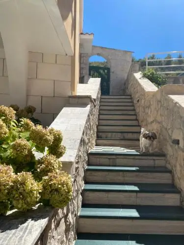 other image 3