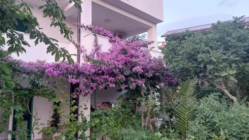 Offsite venue - Apartments Plavi&Žuti thumbnail