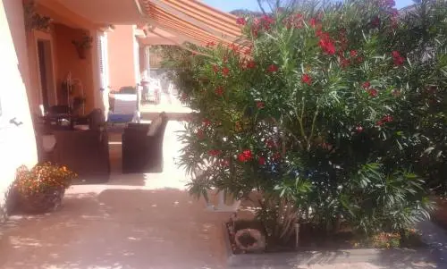 other image 1