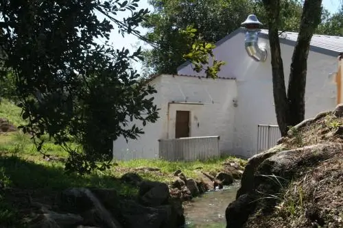 other image 1