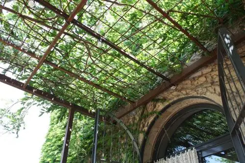 other image 1