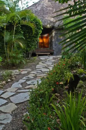 other image 3