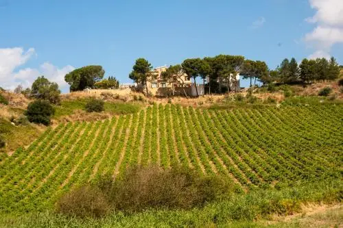 Offsite venue - Feudo Del Biviere thumbnail