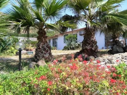 other image 1