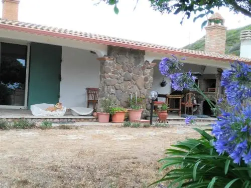 other image 2