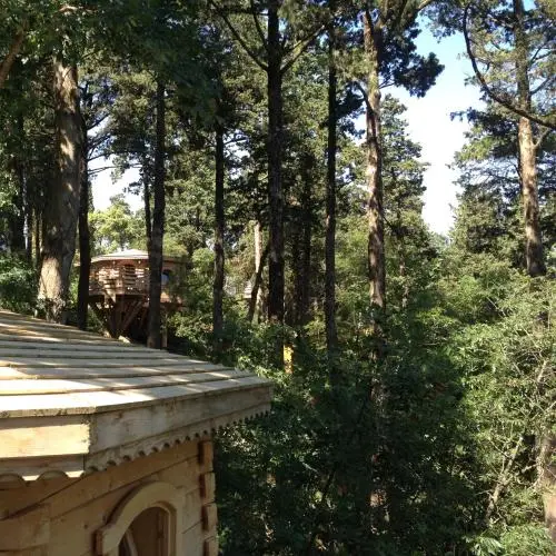 Offsite venue - Les Cabanes Dans Les Bois Logis Hôtel thumbnail