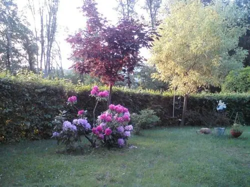 other image 2