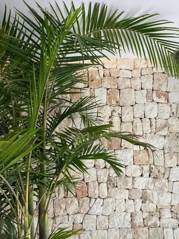 other image 0