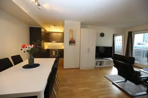 Offsite venue - OSLO CITY CENTER 3 BEDROOMS APARTMENT MANDALLS GATE 12 thumbnail