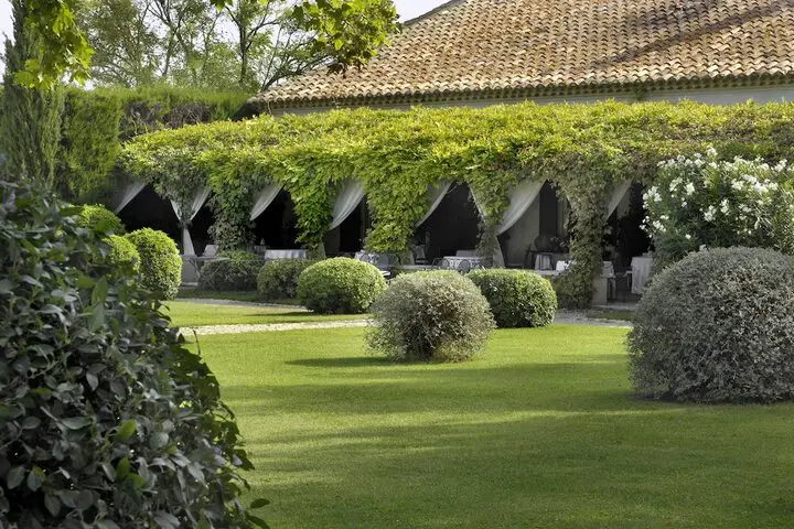 other image 0