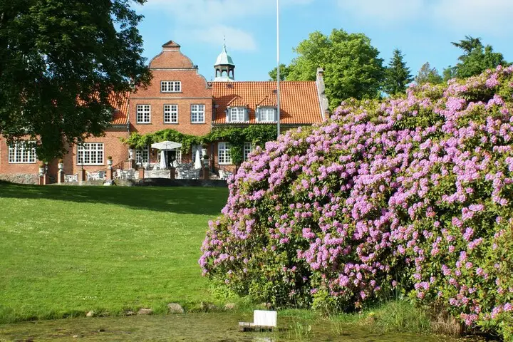 other image 1