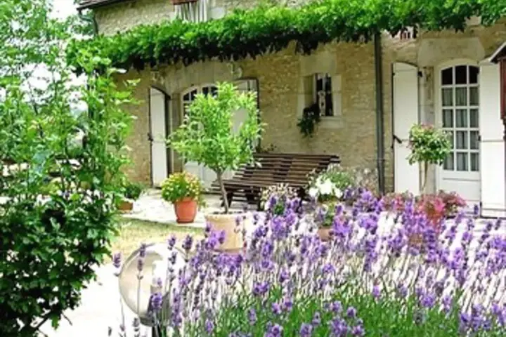 other image 0