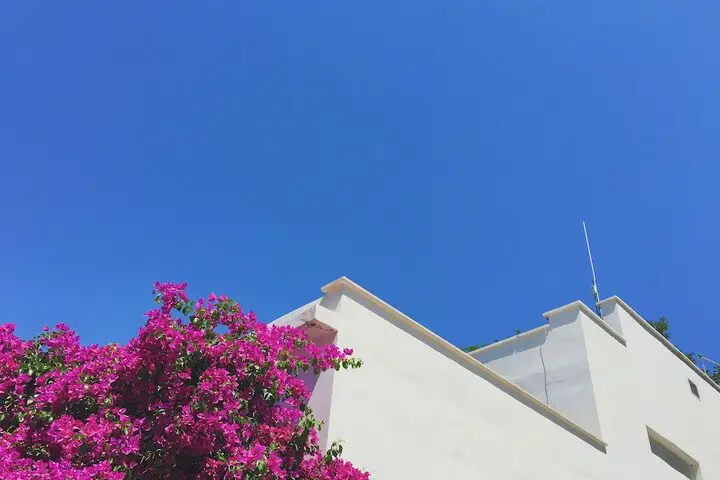 other image 3