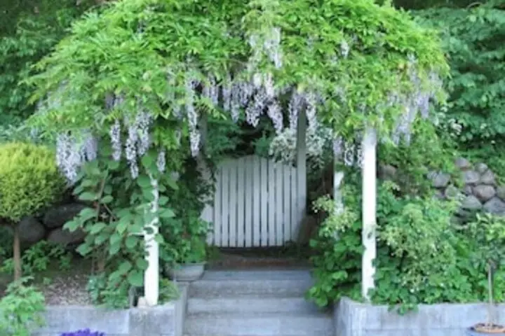 other image 3