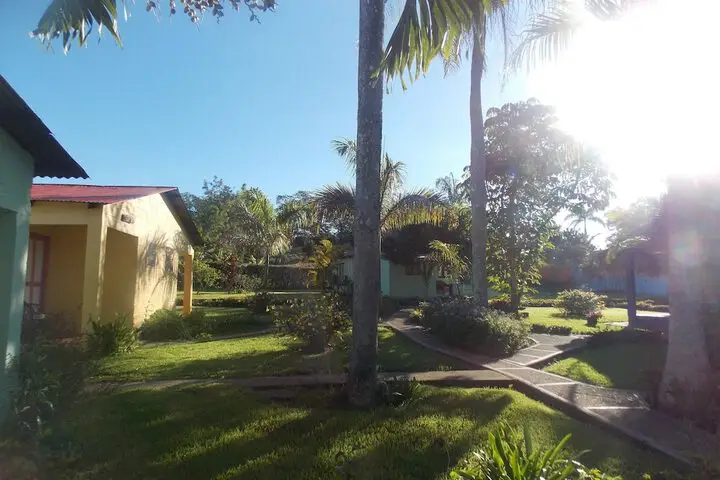 other image 1