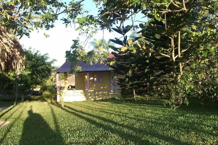 other image 3