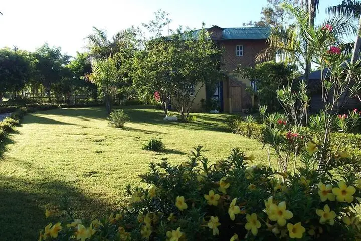 other image 0