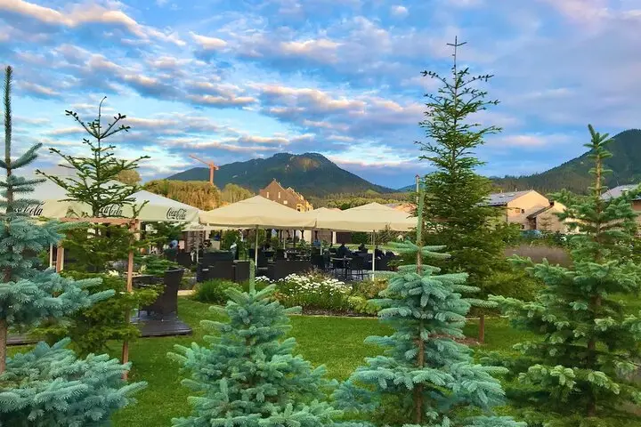 other image 1