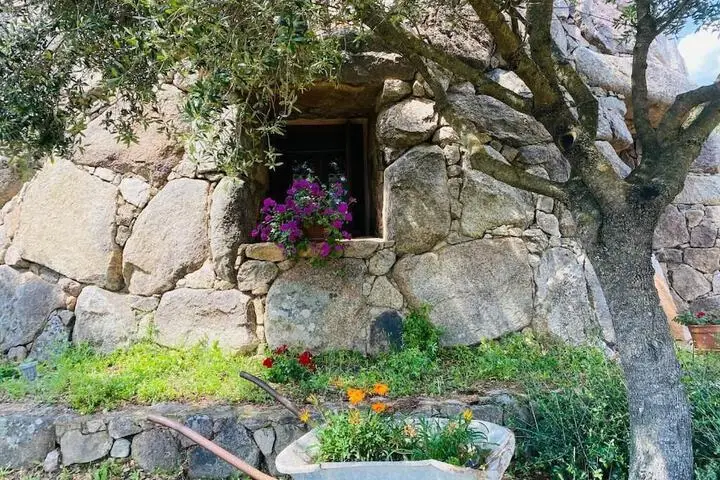 other image 2