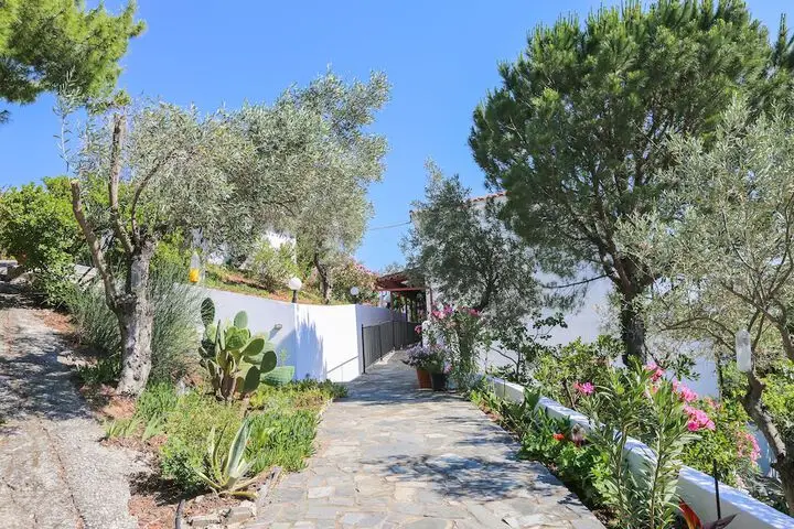 other image 1