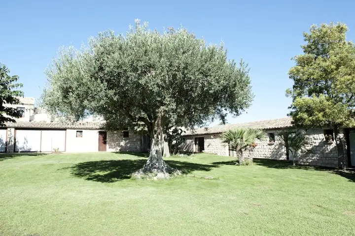 other image 0