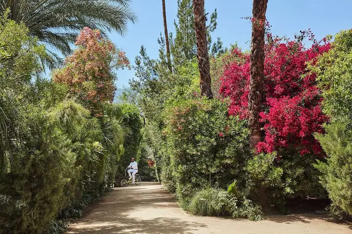 other image 3