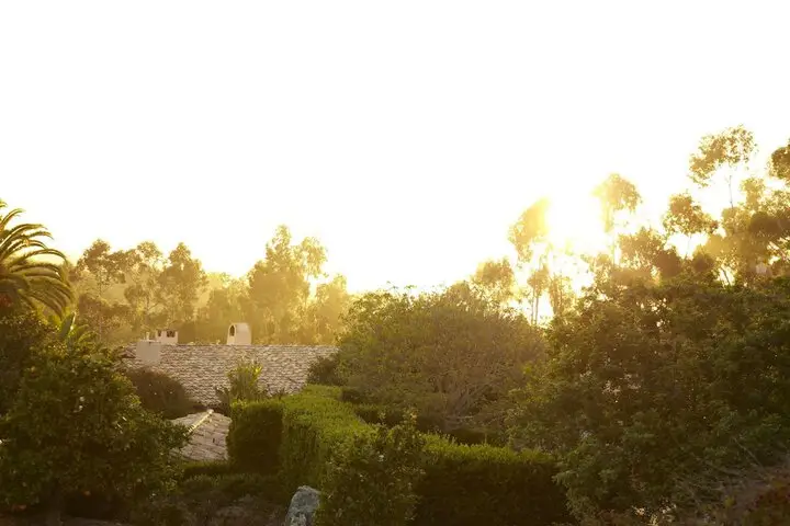 other image 0