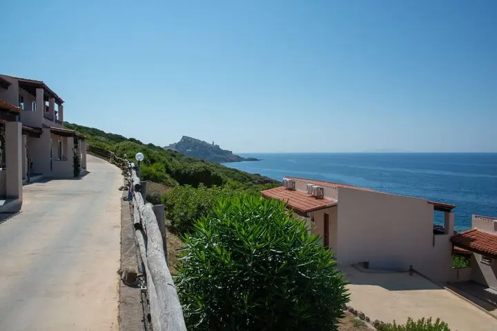 other image 2