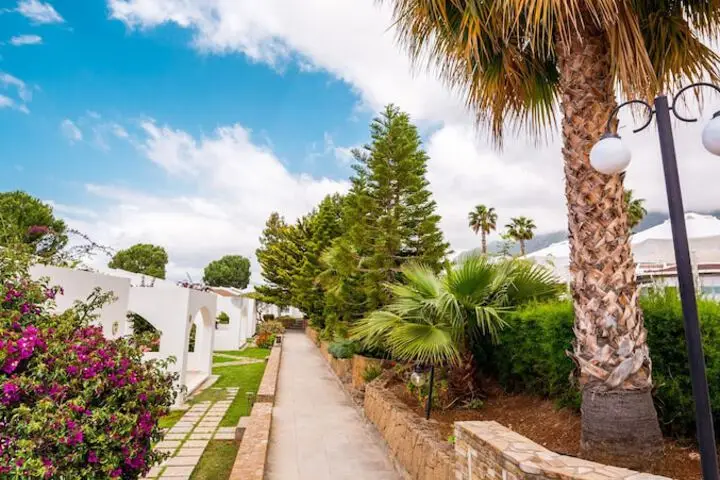 The Olive Tree Hotel