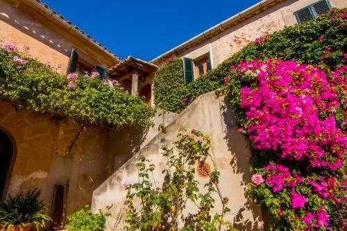 Offsite venue - Agroturismo Petit Hotel Son Perdiu - Adults Only thumbnail