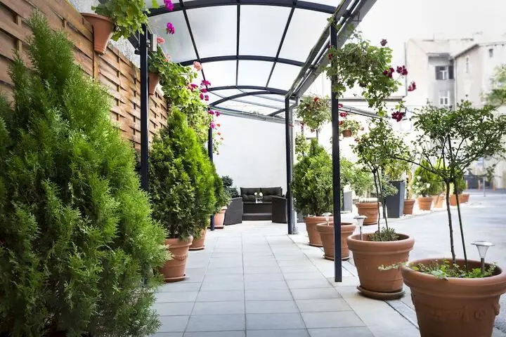 other image 0