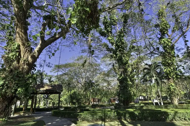 other image 3
