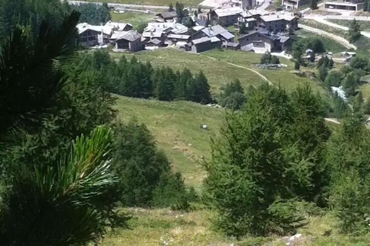 other image 2
