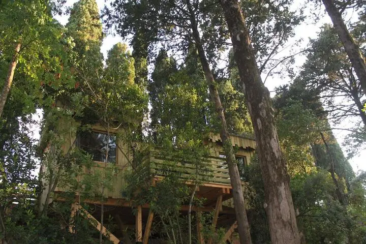 other image 2