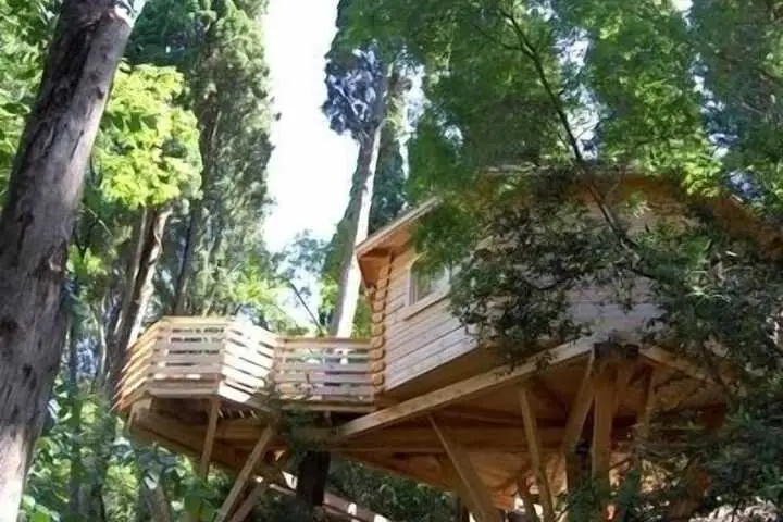 other image 3