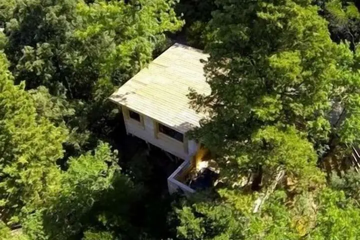 other image 1