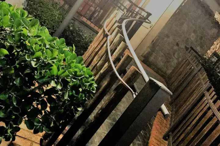 other image 1