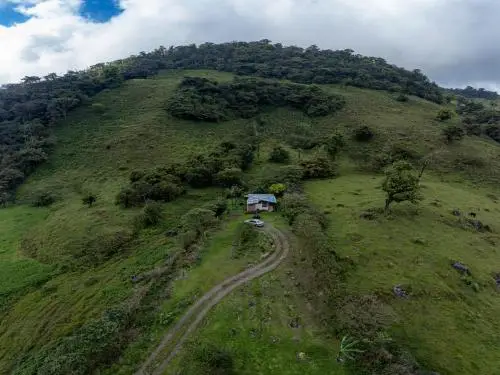 other image 1