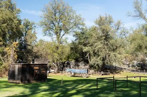 other image 1