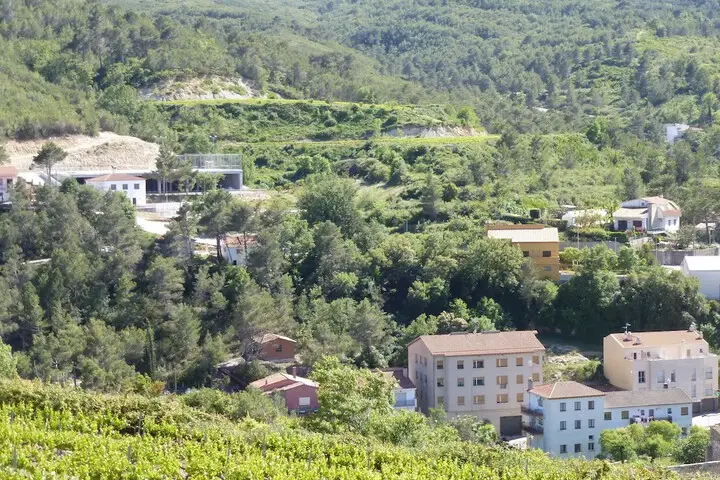 other image 2