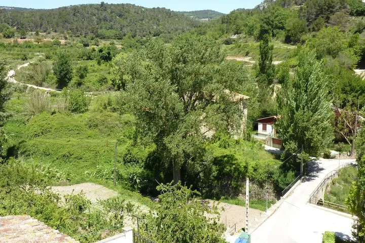 other image 0