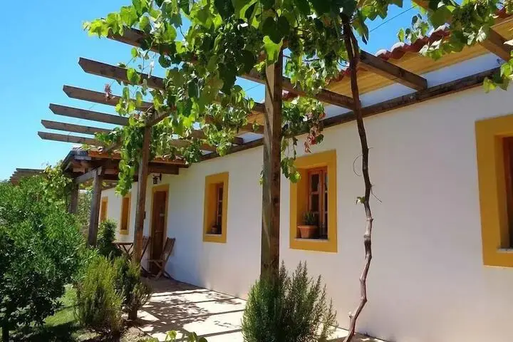 other image 1