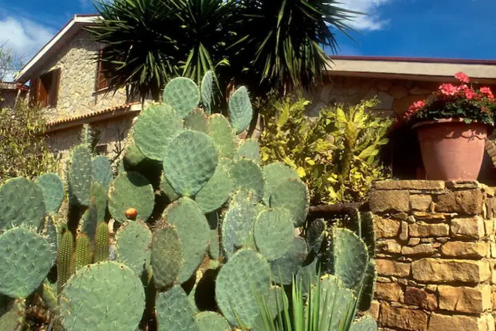 other image 1