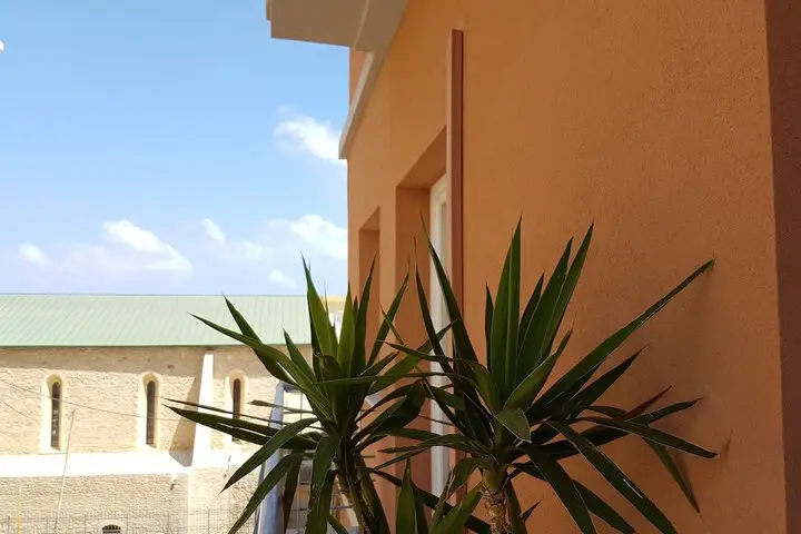 other image 1